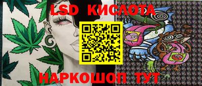 шишки Нальчик