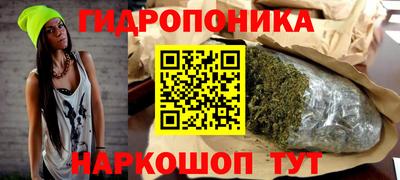 шишки Нальчик