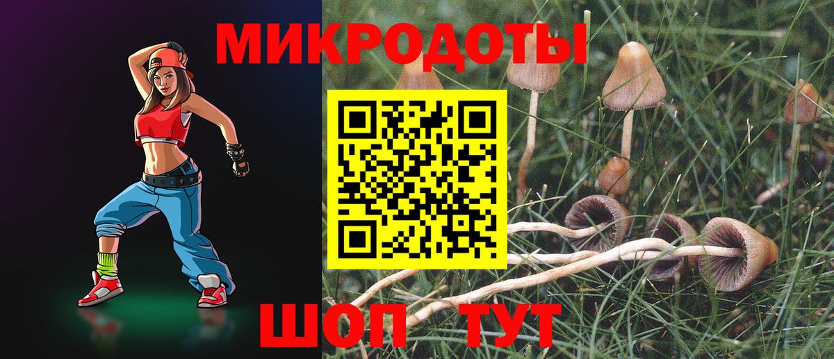 Галлюциногенные грибы Psilocybine cubensis  Вход с VPN  Ульяновск 