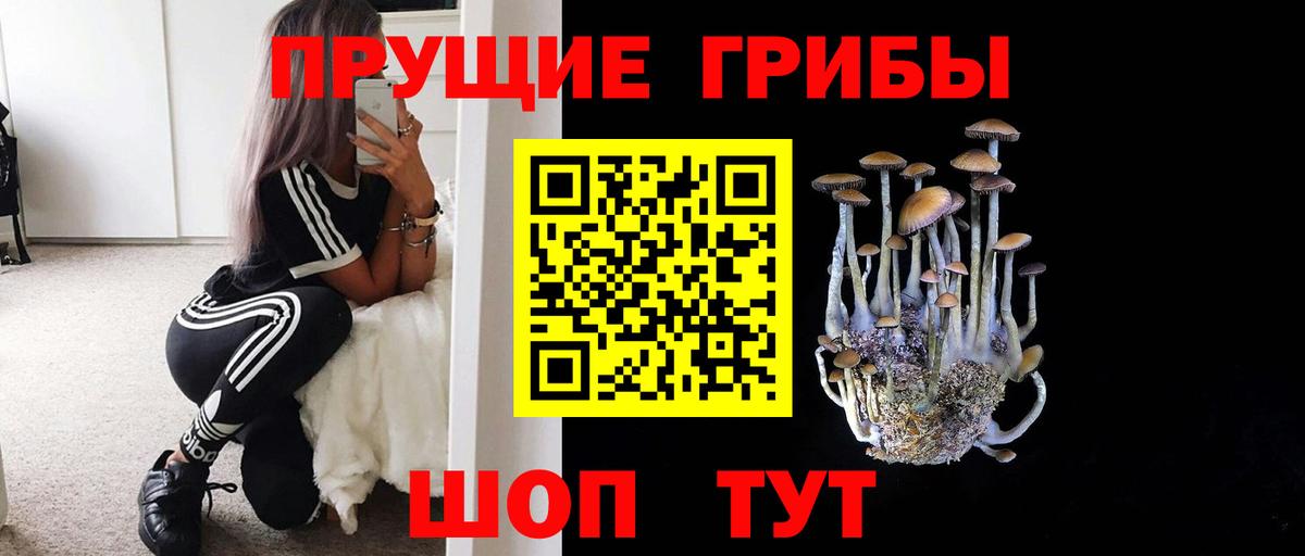 Псилоцибиновые грибы прущие грибы Ульяновск