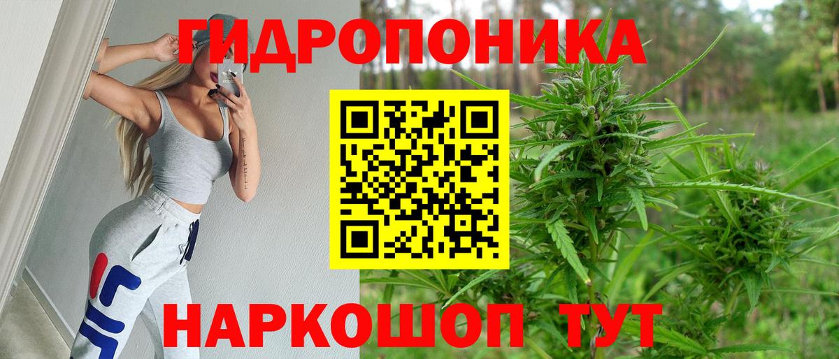 Ульяновск  Бошки марихуана конопля  Бошки Шишки конопля  Вход с VPN 